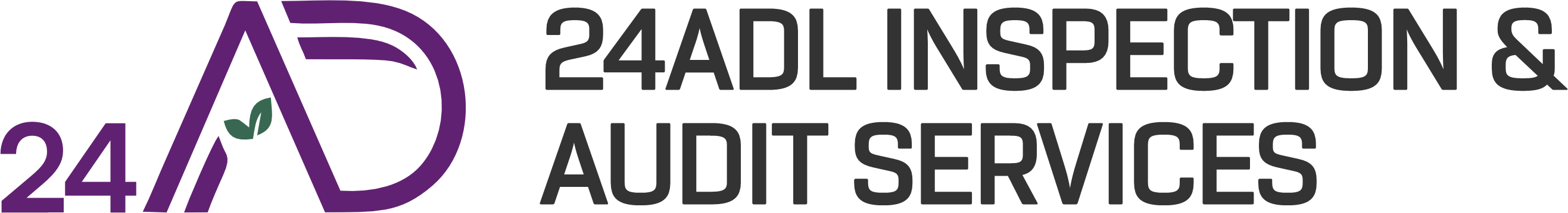 24dlinsepction.com
